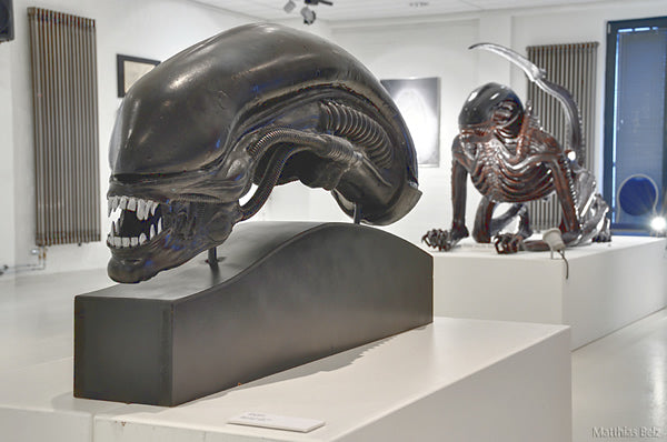 Cabeza gigante en el museo de Hamburgo.