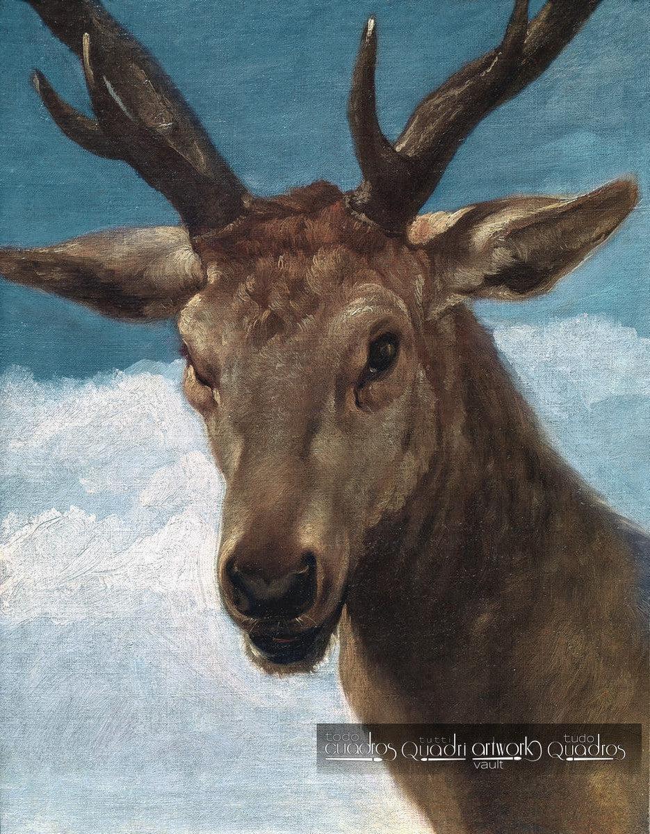 Hirschkopf, Velázquez